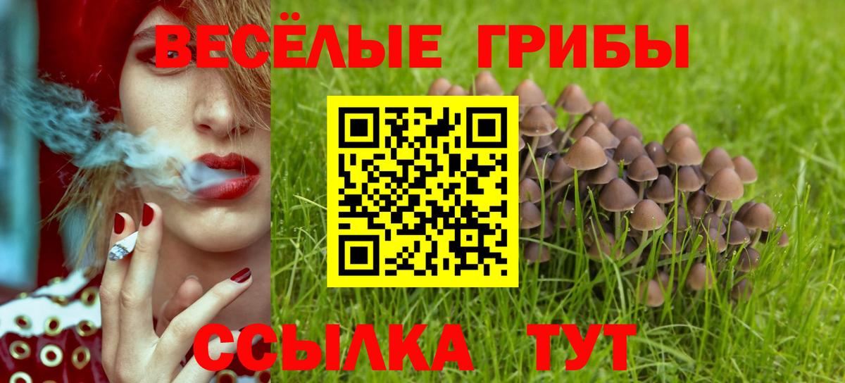 Псилоцибиновые грибы ЛСД Долгопрудный
